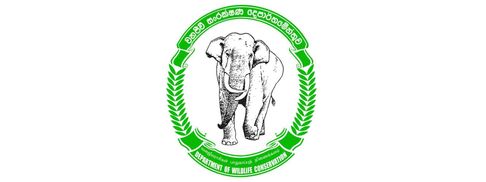 இன்று முதல் Online ஊடாக நுழைவுச்சீட்டு விநியோகம்